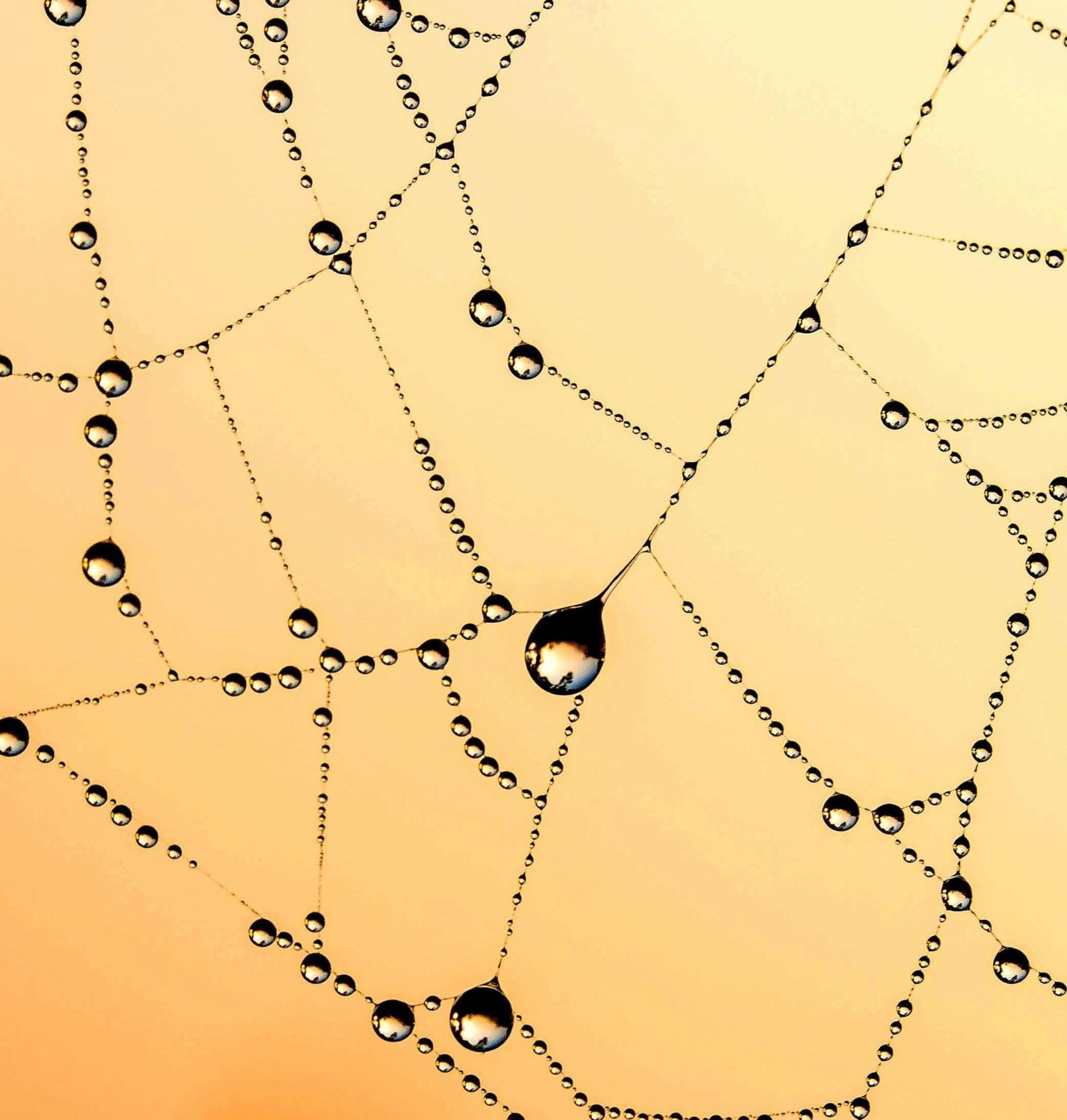 ### Redefining the Table

What if we stop waiting to be invited?
What if we start creating spaces
where value isn’t measured in job offers,
but in insight, initiative, and integrity?

The truth is: the system may not change fast enough.
But we can change the story we tell ourselves.

Not everyone can be an entrepreneur.
Not everyone wants to be a content creator.

But everyone can learn.
Everyone can connect.
Everyone can grow.
Everyone can give —
even while in transition.

And maybe, just maybe,
that’s where real momentum begins.
