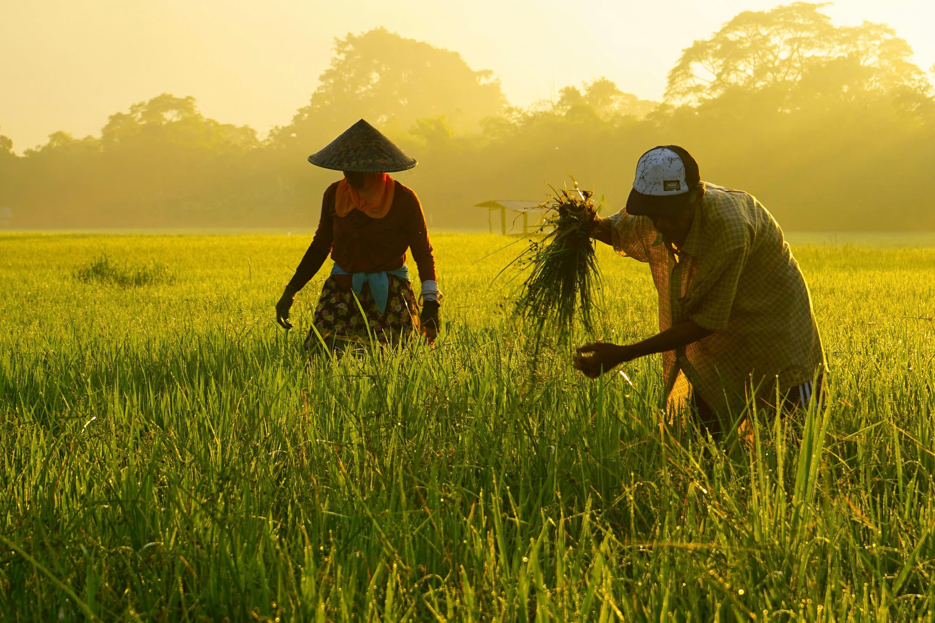 # Beyond Profit: Rethinking What It Means to Invest