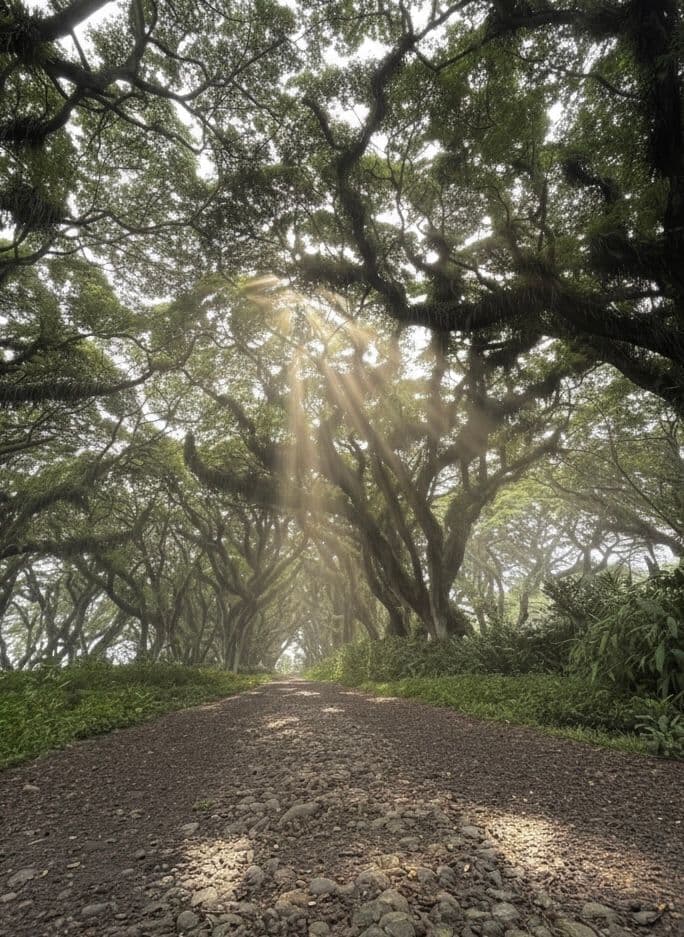 ### Final Whisper

Each year we say:

Gong Xi Fa Cai.

May you prosper.

Maybe what we truly wish for one another
is not simply wealth.

But steadiness.
Gratitude.
Alignment.

Enough peace
to recognise what is already here.

Enough humility
to honour it.

Enough generosity
to let it move beyond us.

Before asking for increase,
perhaps the gentlest prayer is this:

_Let me be faithful with what I have._

_Let me be grateful before I am ambitious._

_Let me be ready —
not just for more —
but for meaning._

Because prosperity is not only what enters our life.

It is what softens our heart,
expands our perspective,
and flows quietly through us
into someone else’s light.
