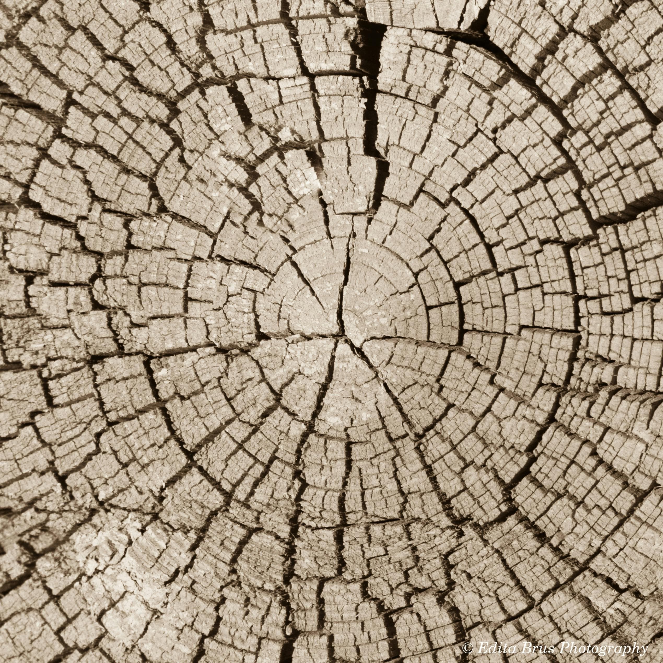 In our earlier years,
we were trained to respond.

To act.
To decide.
To lead.

And we did.

With conviction.
With responsibility.
With impact.

But yesterday,
for the first time perhaps,
we were no longer trying
to move the world.

We were trying
to understand it.

And maybe that is
a different kind of usefulness.

It made me think of those
who, at the height of power,
chose to walk away.

Emperors who became monks.
Leaders who stepped into silence.

Not because they had nothing left to give.

But because they had seen enough
to realise
that doing less
might reveal more.

And in that realisation,

we found ourselves
more willing to say:

_“It’s okay to be wrong.”_

In fact, 
this time,
we were hoping
we were wrong.
