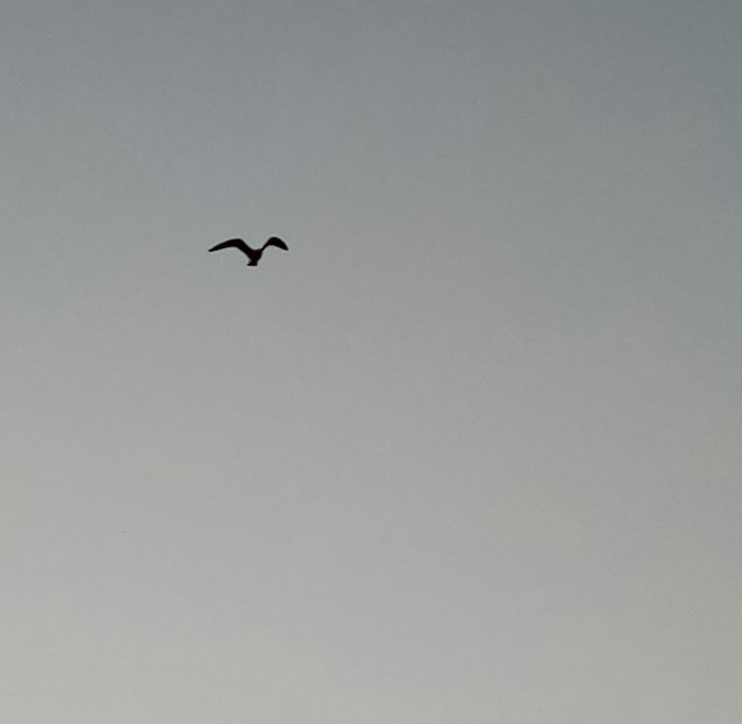 ### A Closing Whisper
If you’re in this season too—still surrounded by the laughter, but sensing the shift—
you don’t have to wait for the silence to arrive before you begin preparing your heart.
You don’t have to vanish to let go.
You don’t have to disengage to detach.
You just have to keep opening your hands—softly, intentionally, again and again.
Letting go doesn’t mean leaving.
It means loving… without holding too tight.
And when they look back, they will see you there—
still home,
still whole,
still loving them with all the space they need to grow.
