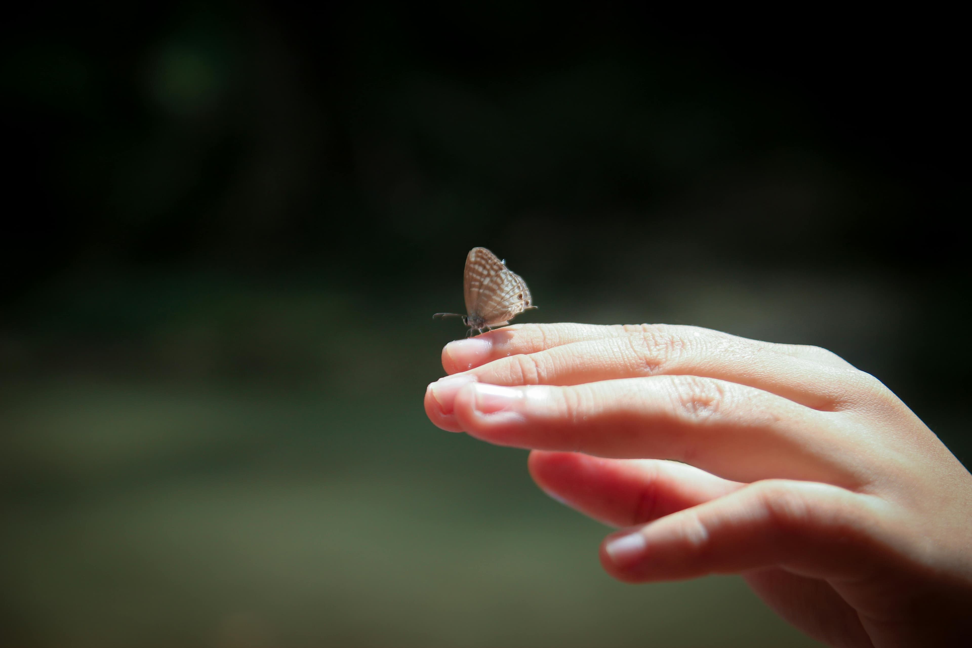 ### A Whisper to the Heart That’s Trying
If this is you—
if your child is walking a path you don’t quite understand,
if you’re smiling on the outside but quietly wondering what happened to the future you imagined—
please know this:
You’re not failing as a parent.
You’re just in a _new season_ of parenting.
And no one is fully prepared for this one.
Letting go once felt like giving them space.
Now, it’s about giving them **trust.**
Not blind trust.
Not detached indifference.
But the kind of trust that says:
_“I may not get it… but I believe in you anyway.”_