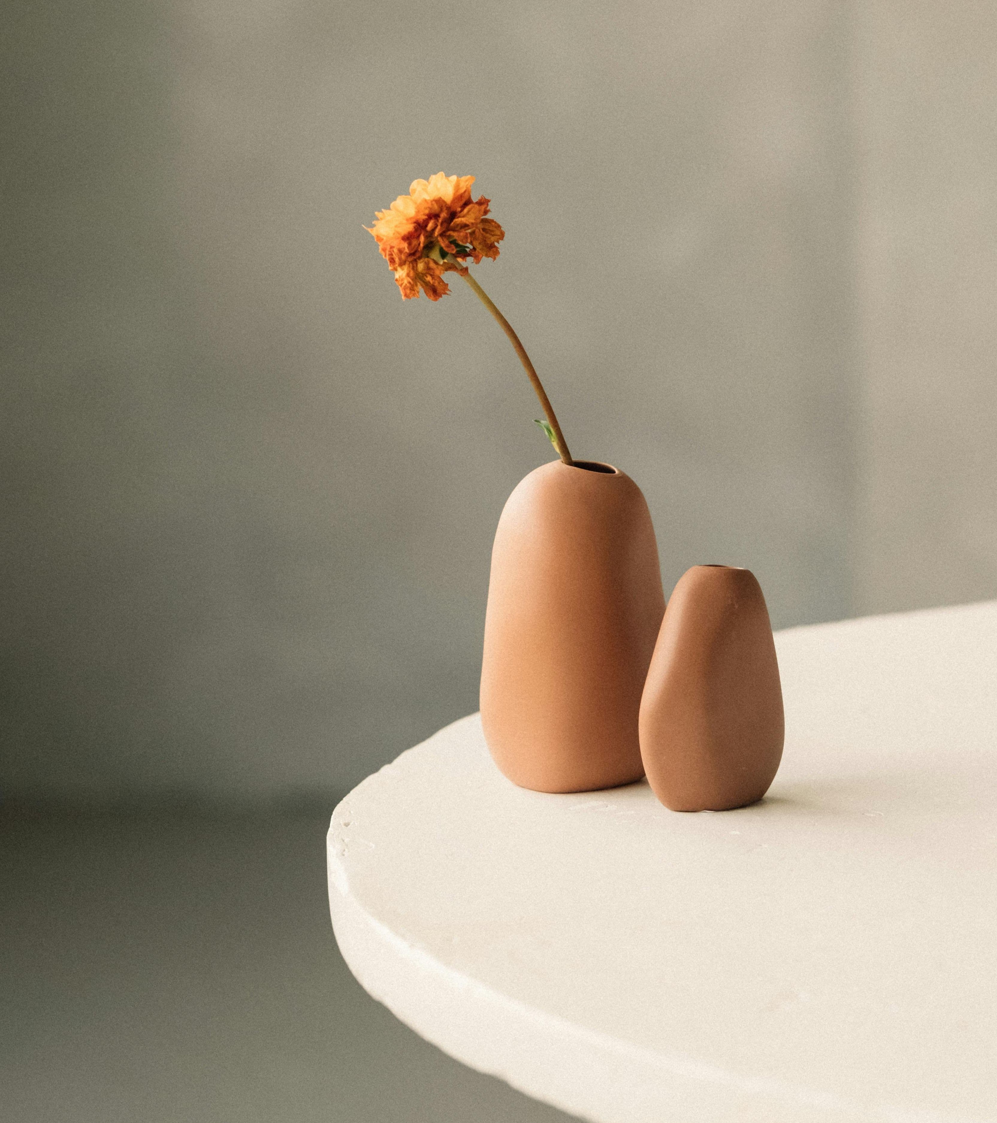 ### A Whisper for the Ones in Between
If you, too, are in that place —
torn between parents who need you and children who depend on you —
know this:
You are not alone.
You are not failing.
And you are not less worthy for stepping off one path to walk another.
Your value is not measured by salary slips,
but by the quiet love you give,
the sacrifices no one applauds,
the invisible labor that holds generations together.
There is dignity in that.
There is strength in that.
There is grace in that.