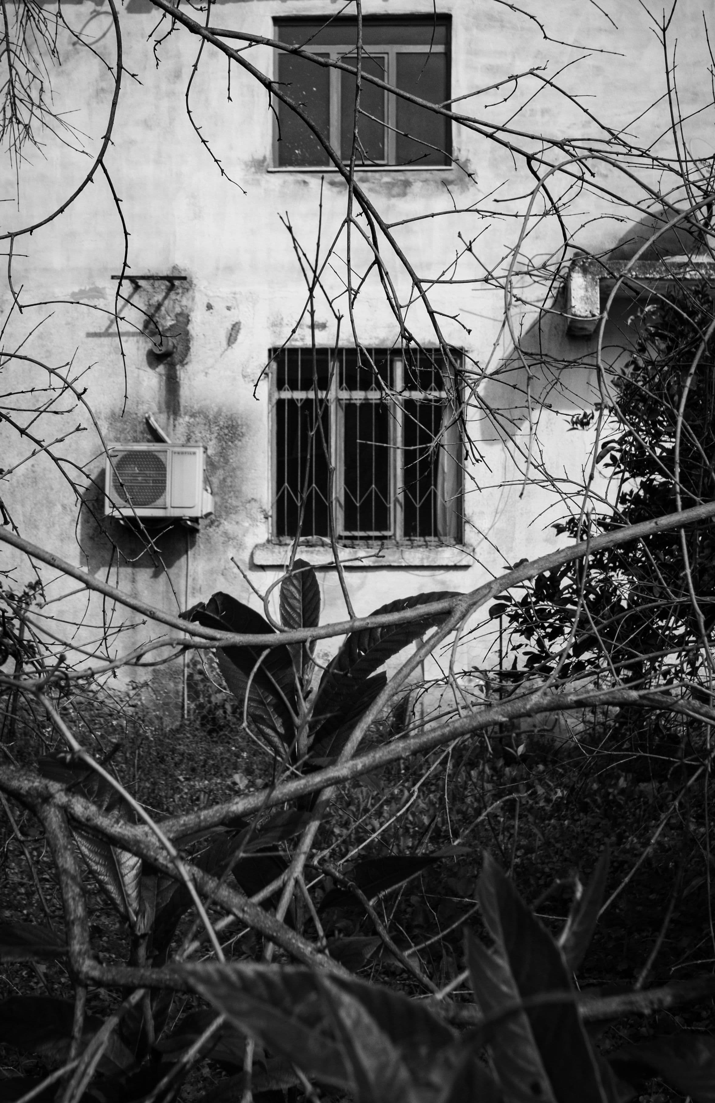 ### When Blessings Feel Like Burdens
Inheritance, for many families, is both gift and challenge.
When the ones who built it are gone, what stays is not just their property — but also the task of managing what they left behind:
the divisions, the expectations, the old memories that resurface with each document signed.
I’ve seen families fall apart over what was meant to hold them together.
I’ve seen siblings grow distant, not out of greed, but out of wounded fairness — each convinced they’re only asking for what’s right.
It’s never just about money.
It’s about _meaning_.
About the quiet question behind every inheritance:
_“What did they intend this to represent?”_
Because property, savings, heirlooms, even family ventures — they are all just vessels.
Without understanding, they carry confusion.
Without love, they carry conflict.
The sweat, sacrifice, and hard work that went into building that family business or preserving that land may be forgotten — overshadowed by the immediate challenges or financial concerns.
And yet, that very labor was once the truest expression of love.