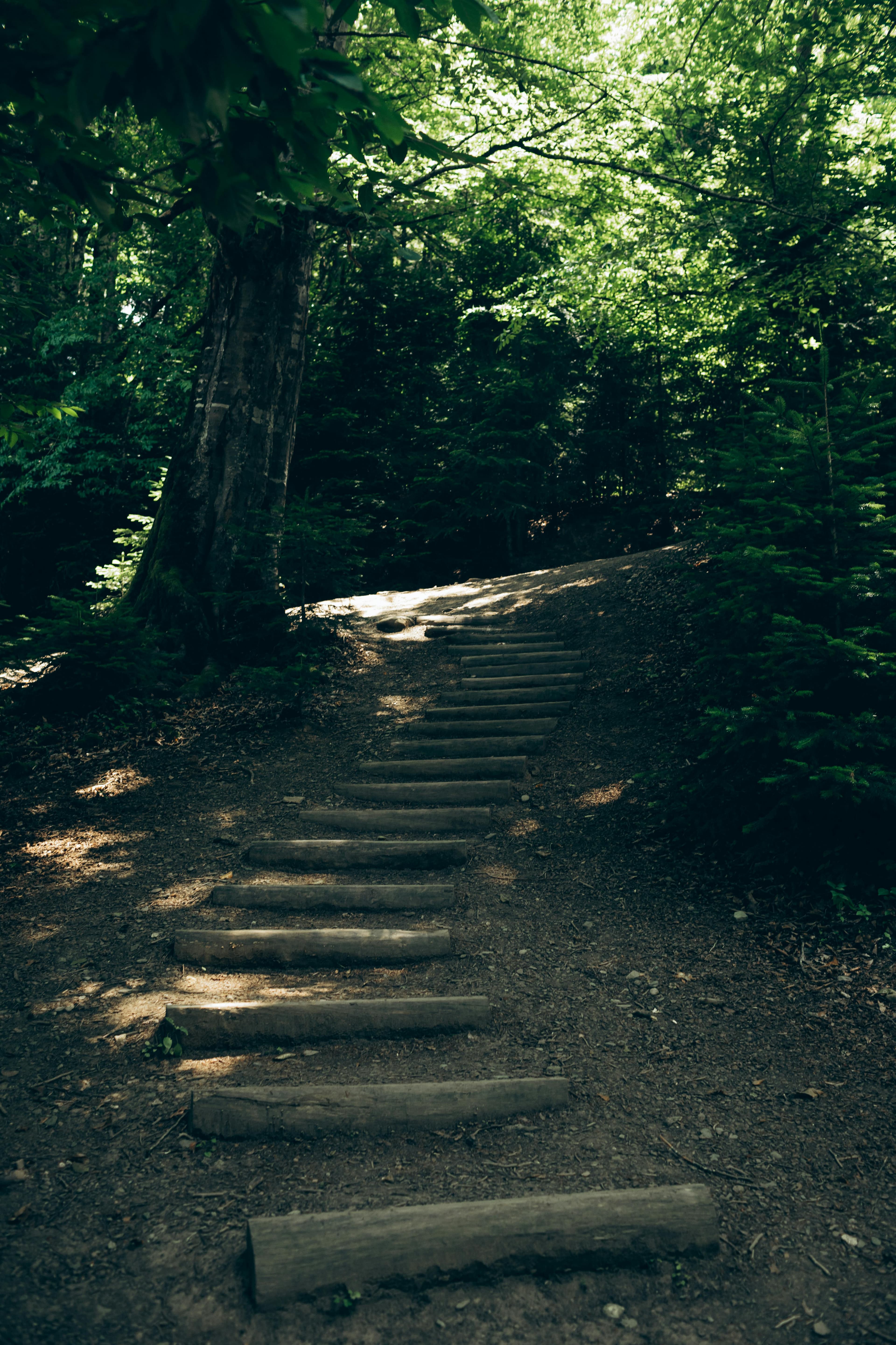 ### Final Whisper
It is easy—and tempting—
to point out what is wrong.
It makes us feel sharp.
Certain.
Superior.
But wisdom asks something quieter of us.
To pause.
To see clearly.
To speak without the need to prove that we know better.
Because wisdom is not in seeing more faults,
but in seeing clearly—
with patience,
with humility,
and with words that help things grow.
That pause,
and the care that comes with it,
is where _maturity_ quietly lives.